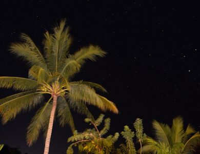Constelação do Cruzeiro do Sul fotografada no céu noturno