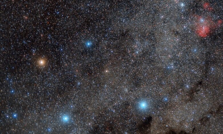 Constelação do Cruzeiro do Sul no céu noturno